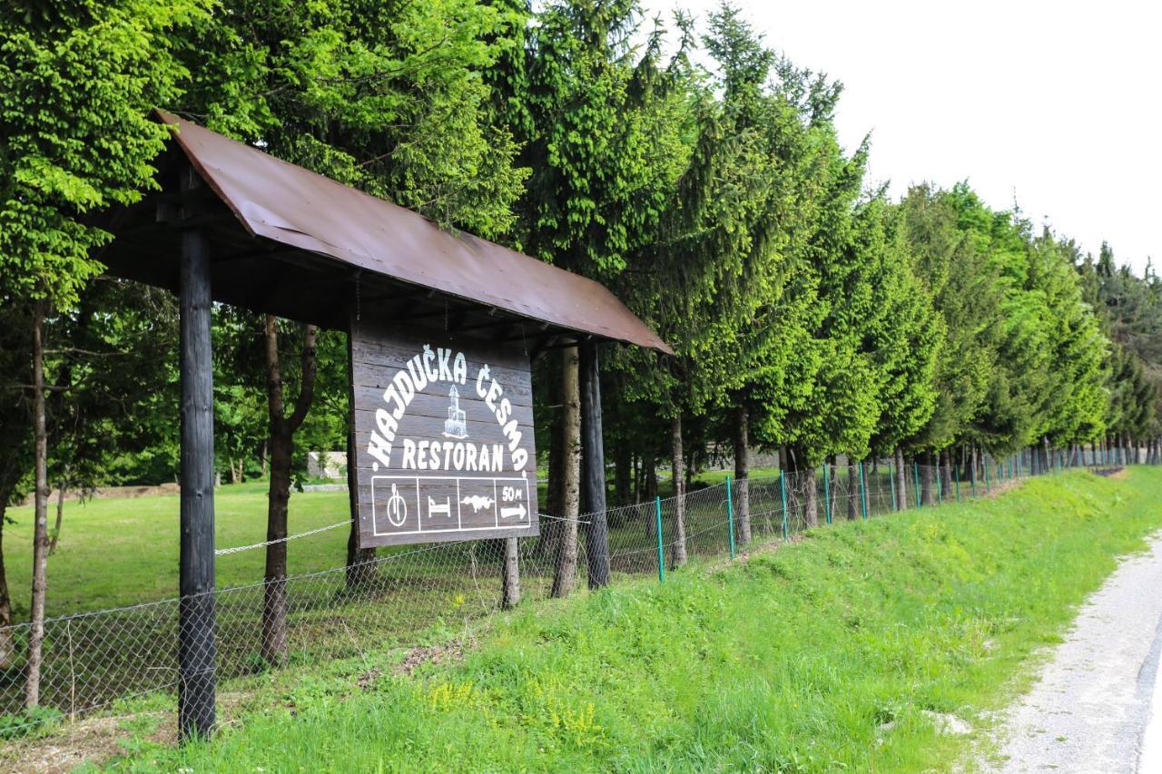 Holiday Park Hajducka Cesma Dubovsko Exterior photo